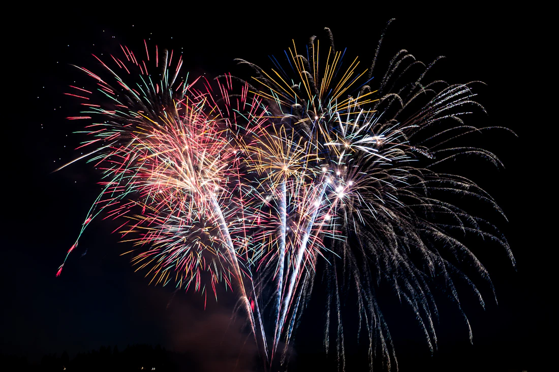 Fireworks bursting over the night sky